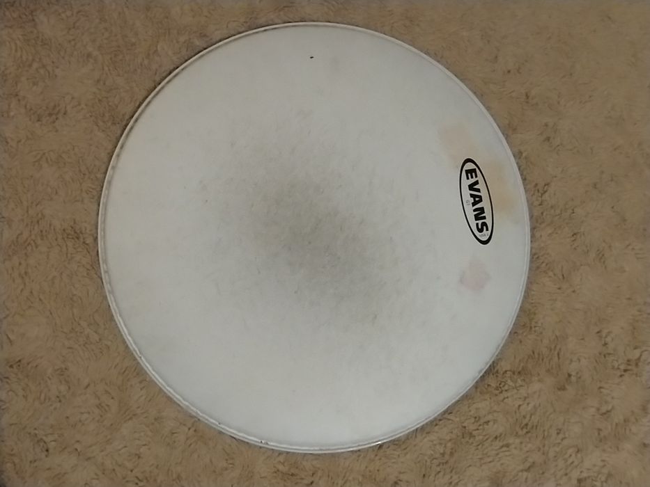 Evans G1 Coated 10" 12" 14" 16"