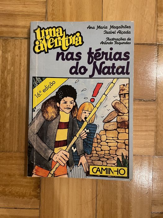 Uma aventura nas férias de natal