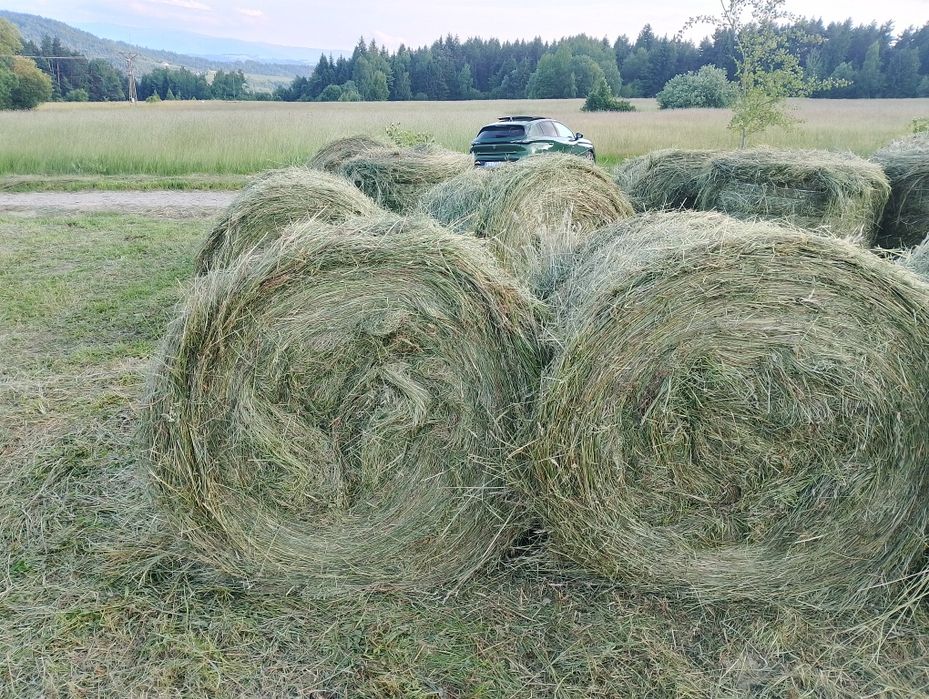 Sprzedam sianokiszonkę