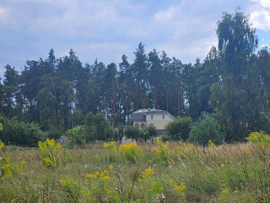 Дзвінкове 27 соток неподалік від лісу