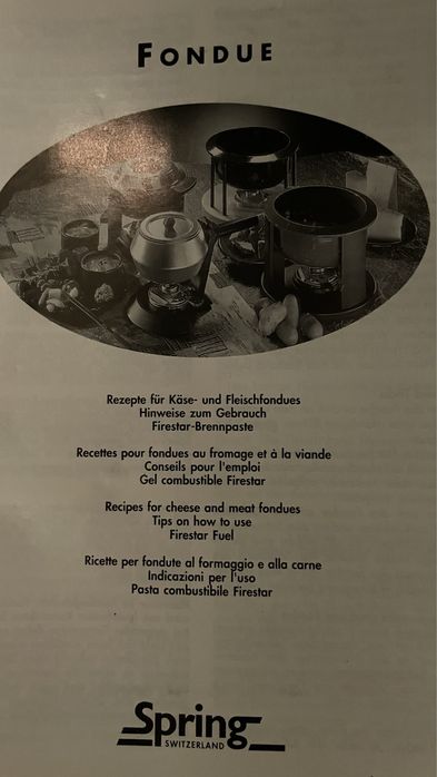Fondeu novo spring switzerland