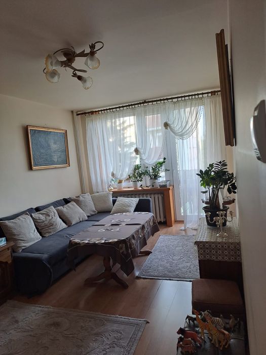 Mieszkanie 49,5 m2