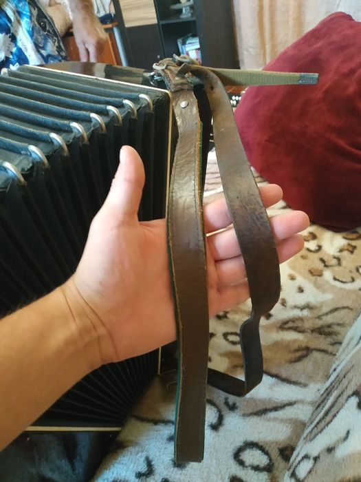 Баян Кримінне чорного кольору