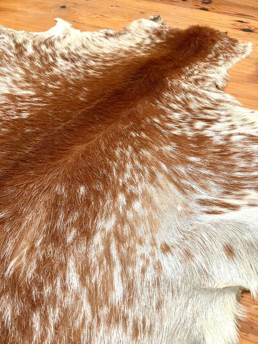 Pele de cabra/Real goat hide