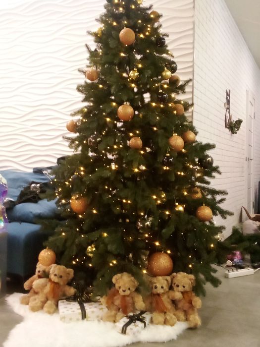 Сдам дом посуточно  с чаном