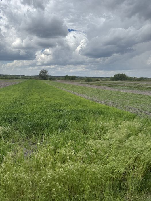 Продам будинок с. Маюничі(Рівненська область,Варашський район)