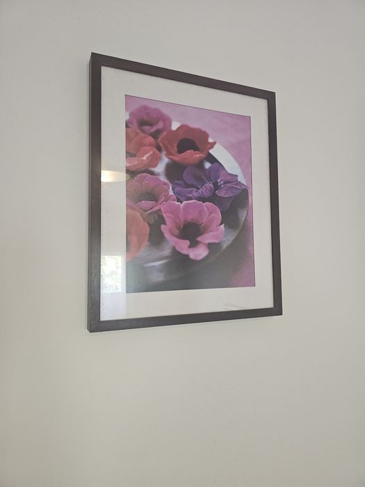 Picture Set64751903079809121