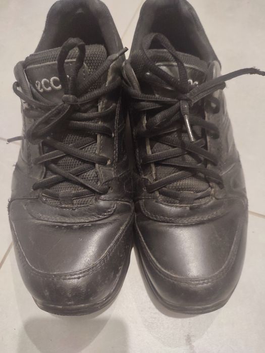 Buty Ecco Biom r43.