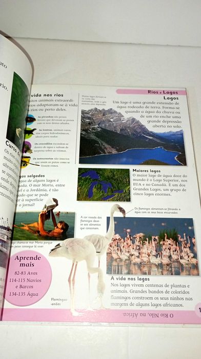 School Encyclopedia - DK64586098157827126