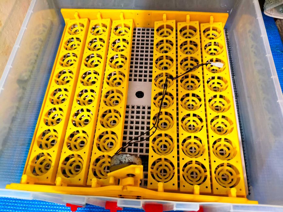 Chocadeira com viragem automática 48 ovos