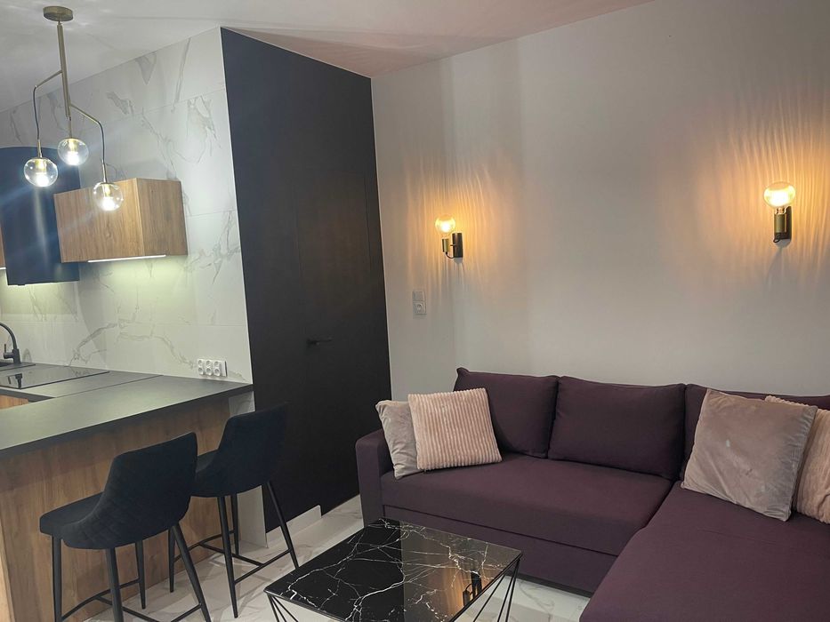 Mieszkanie z ogrodem do wynajęcia