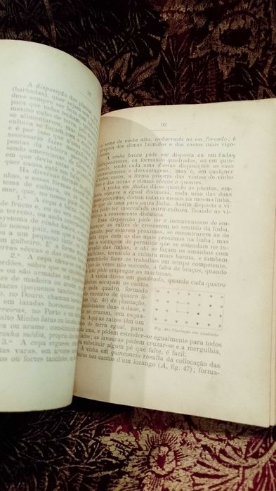 Viticultura Pratica Portugueza 1907 M. Rodrigues de Moraes