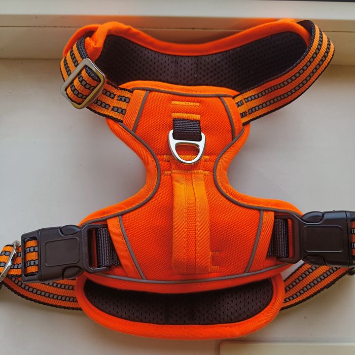 Шлея Funfox анатомічна для собачки