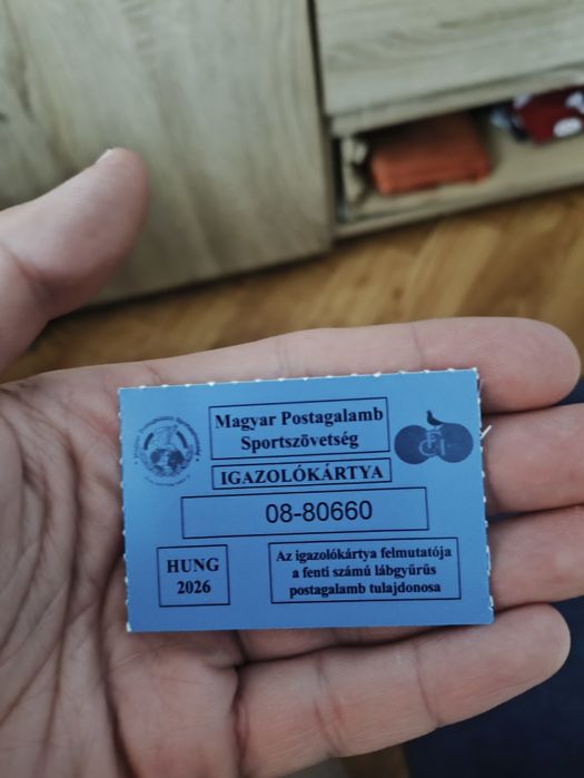 Gołębie pocztowe młode posiadam DV Hung  PL