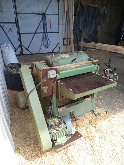 Grubościówka 60 cm