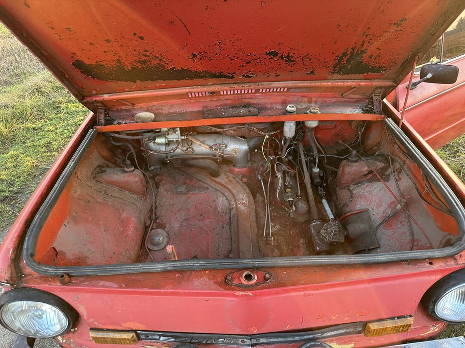 Продам зазіка легенду