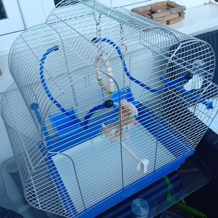 Sprzedam klatkę dla papugi lub innych ptaków używaną