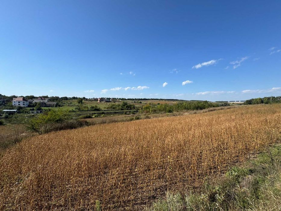Земельна ділянка під забудову село Ружичанка