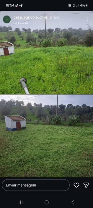 Serviço de limpeza mato e corte de árvores