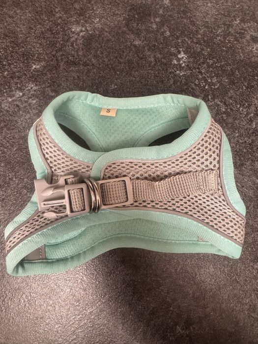 Шлейка для маленької собаки