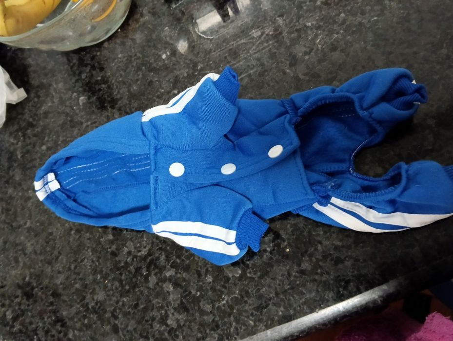 Casaco cão  ao estilo do Porto ;)