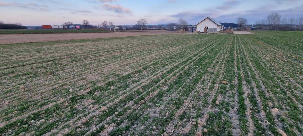 Sprzedam działki- Włoszakowice