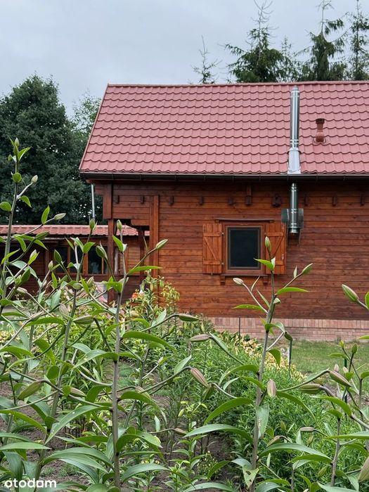 Dom – Izdebno - Widok 5