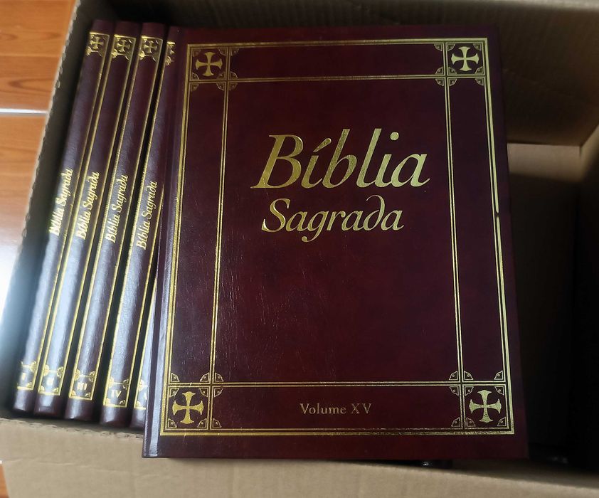 Bíblia Sagrada Ilustrada - 15 Volumes, Coleção Completa 2004