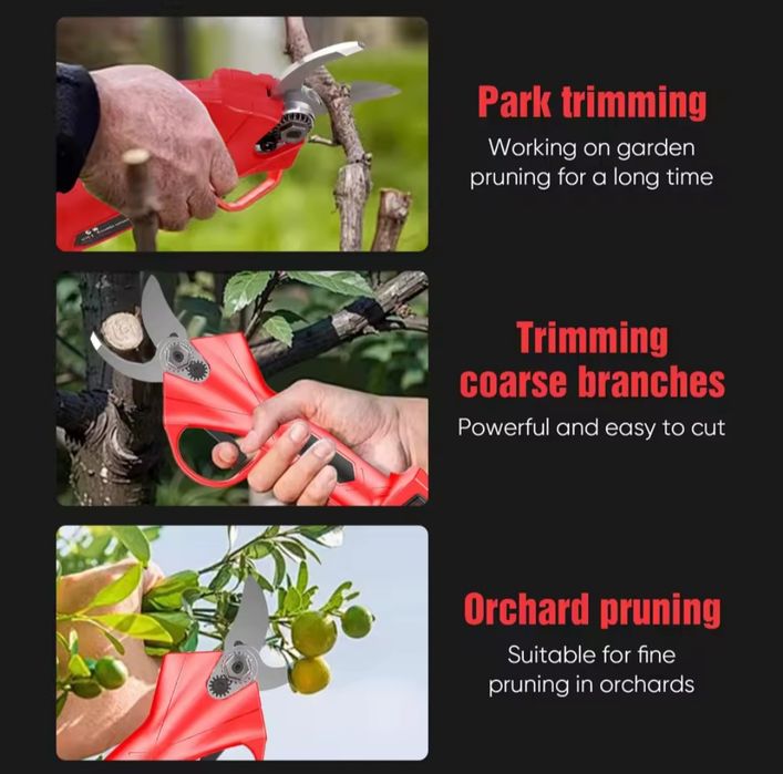 Tesouras de poda (2 baterias incluídas)