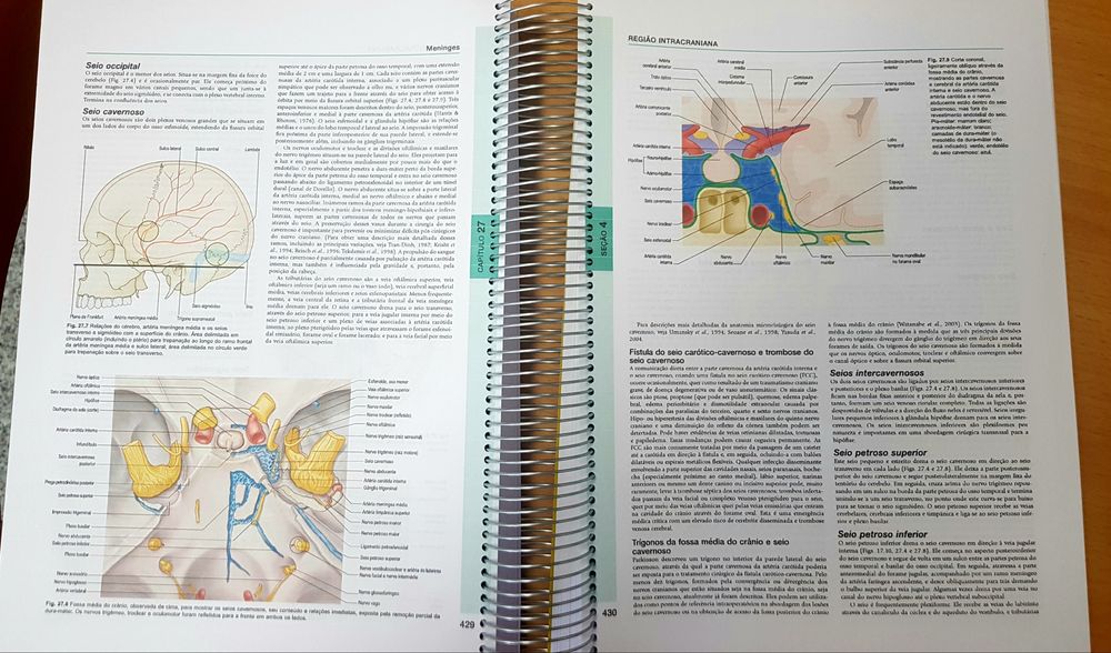 Anatomia- A base anatômica da prática clínica