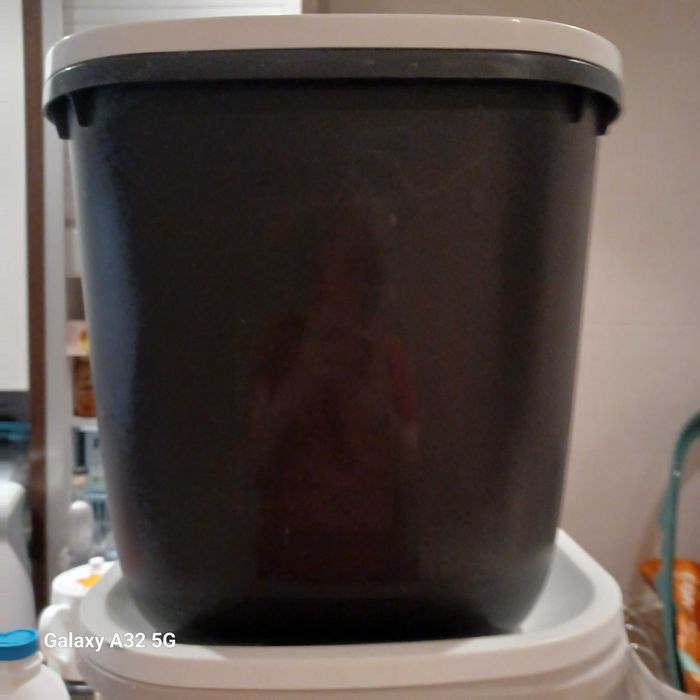 Wc XL para gatos