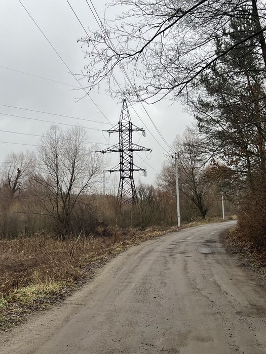 Продаж ділянки, Ходосівка