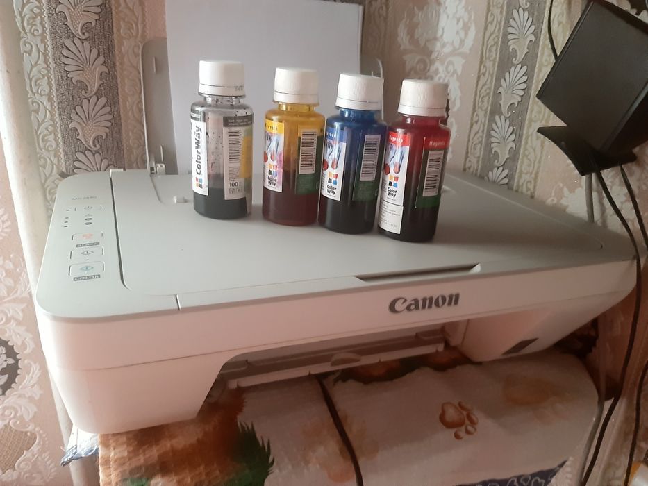 Продам принтер ксерокс   Canon MG2440