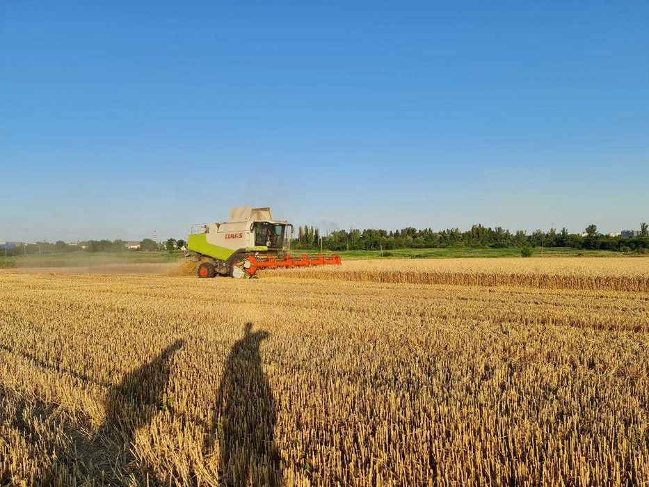 Комбайн Claas Lexion 580