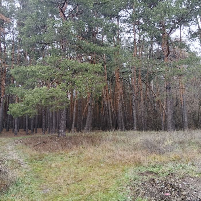 Продаю добротный кирпичный дом в живописном р-не г Мерефа