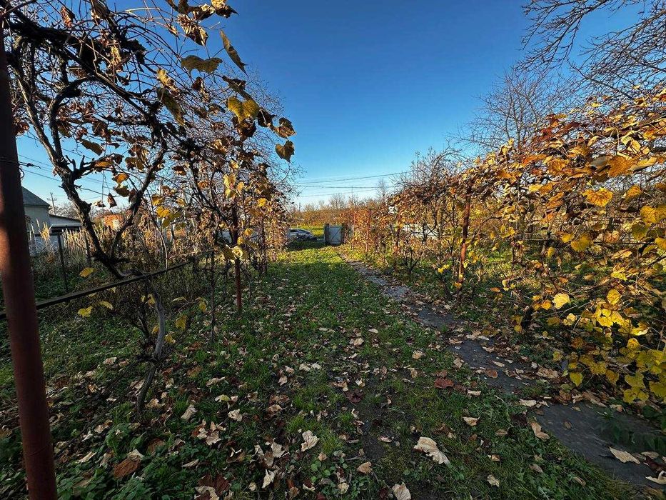 Продається дім у Солотвино