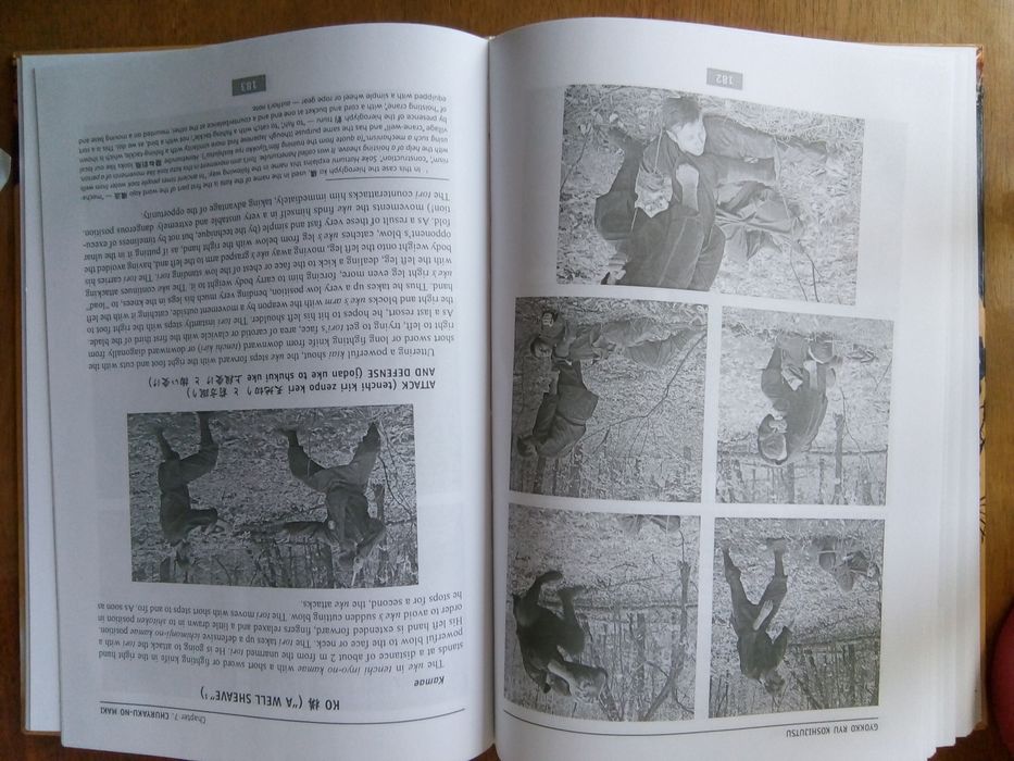 Момот В.В. Гекко рю косидзюцу.  На английском языке