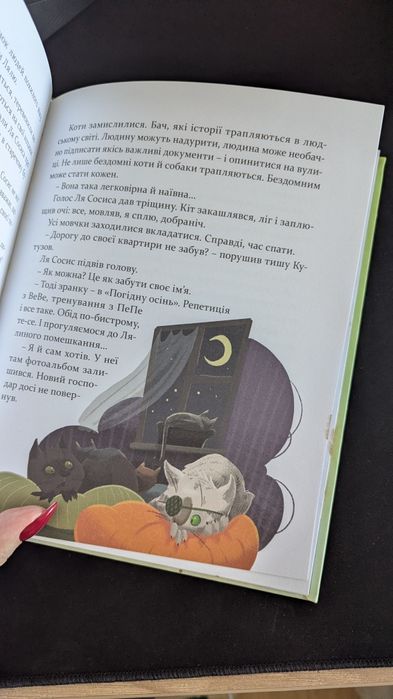 Книга 36 і 6 котів компаньйонів