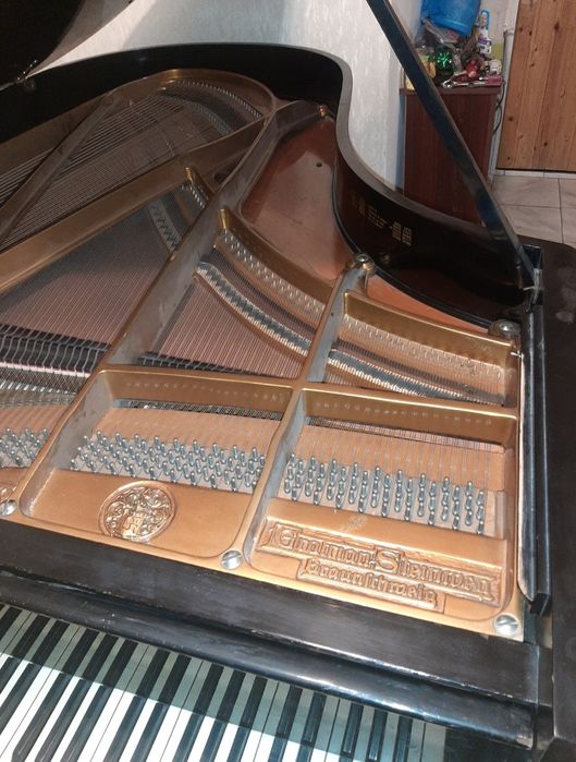 STEINWAY ( Grotrian Steinweg ) 200 cm