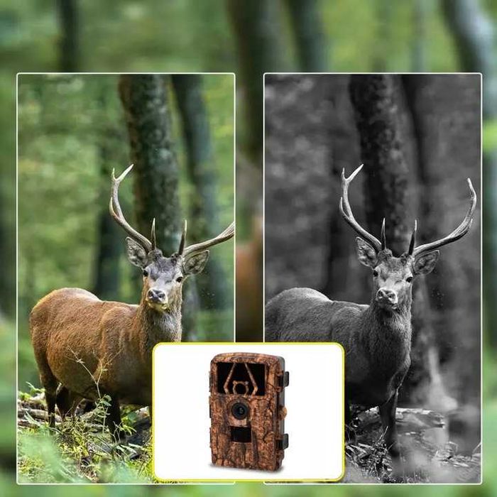 8K 60MP Fotopułapka kamera myśliwska wodoodporna podświetlenie nocne