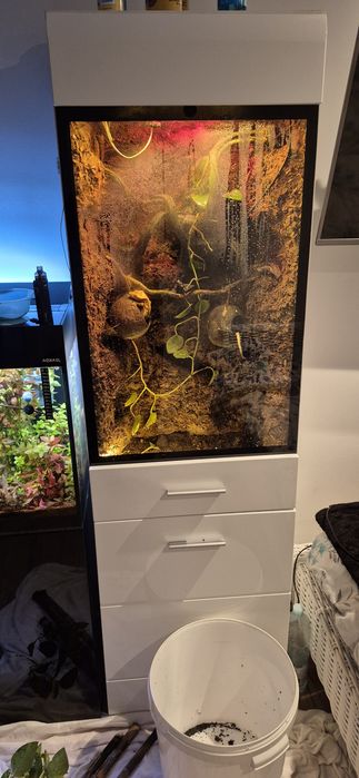 Sprzedam terrarium w szafce