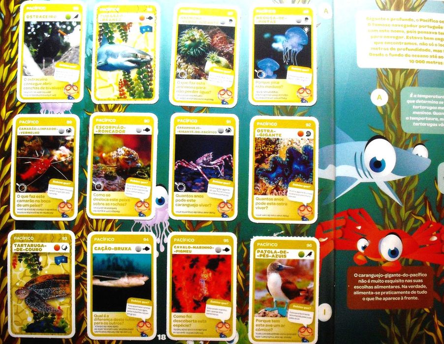 Grande Álbum do Mergulhador - Vida Marinha - Pingo doce