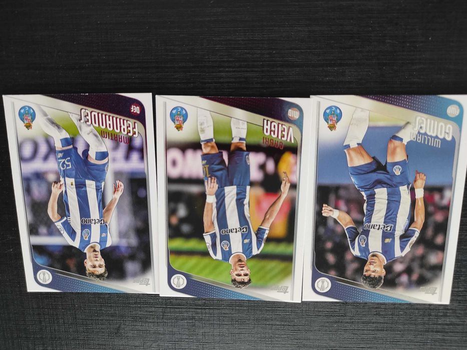Conjunto de cards SLB, SCP e FCP