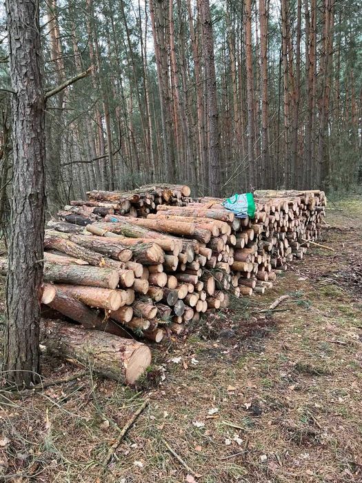 Sprzedam drzewo opałowe