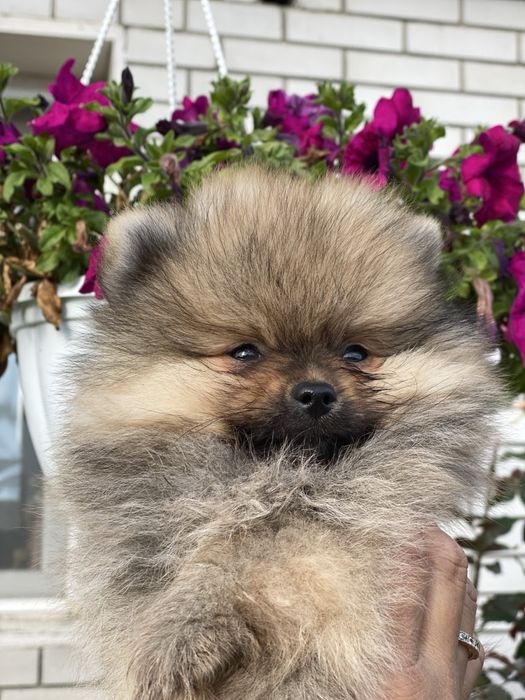 Дуже гарний хлопчик