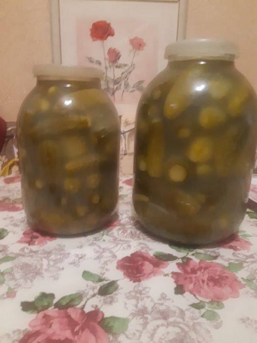 Огірки квашені домашні