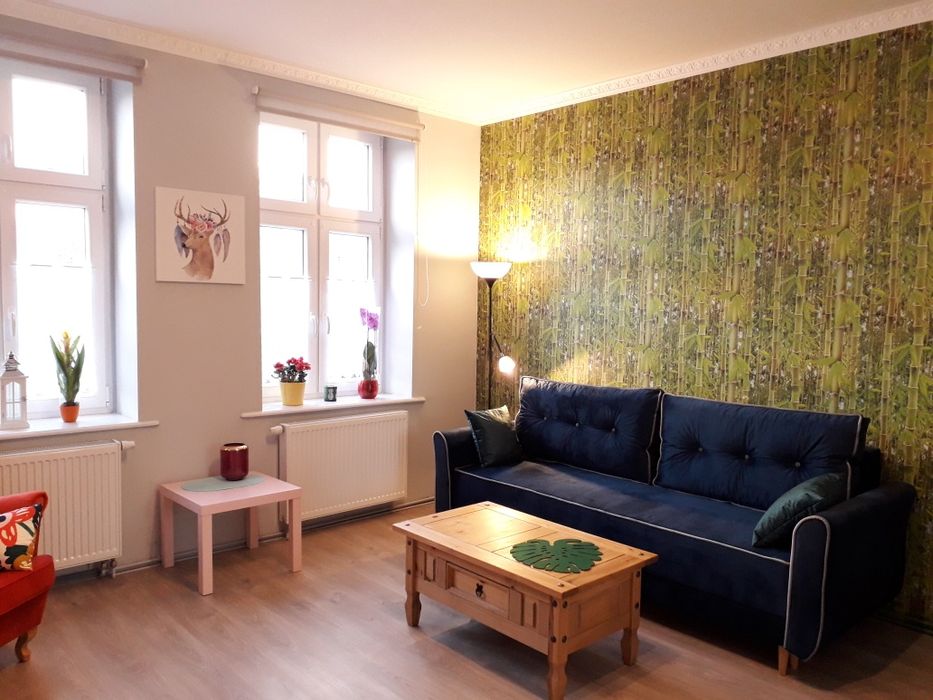 Pokój w centrum. Elastyczna umowa