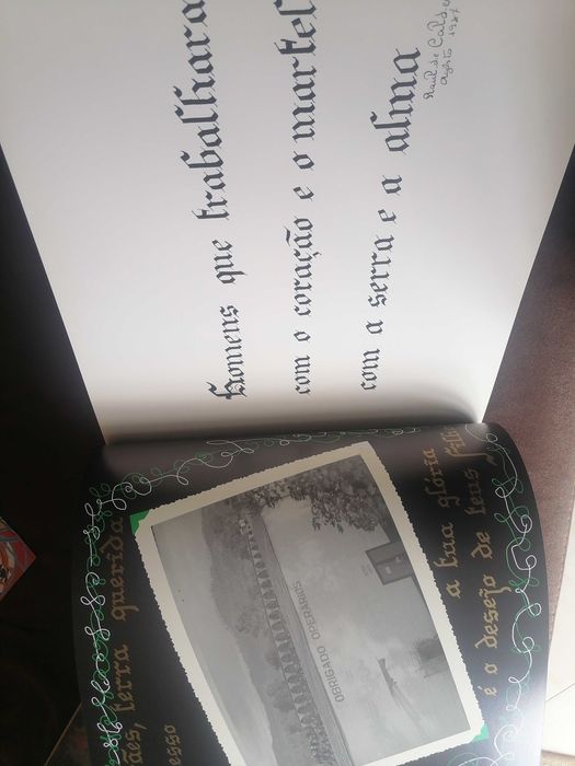 Livro o milagre vimaranense
