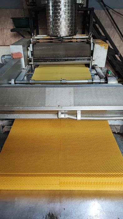 Węza pszczela wielkopolska naturalny wosk badana