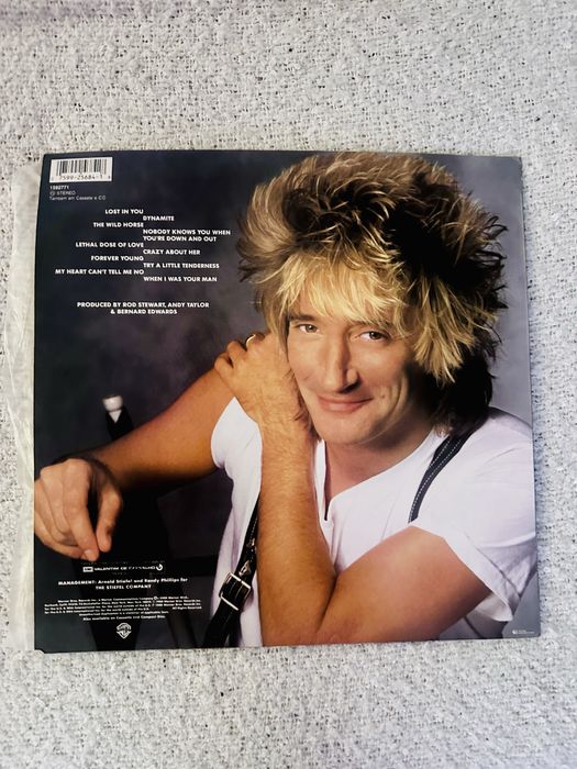 Rod Stewart – Out Of Order LP
